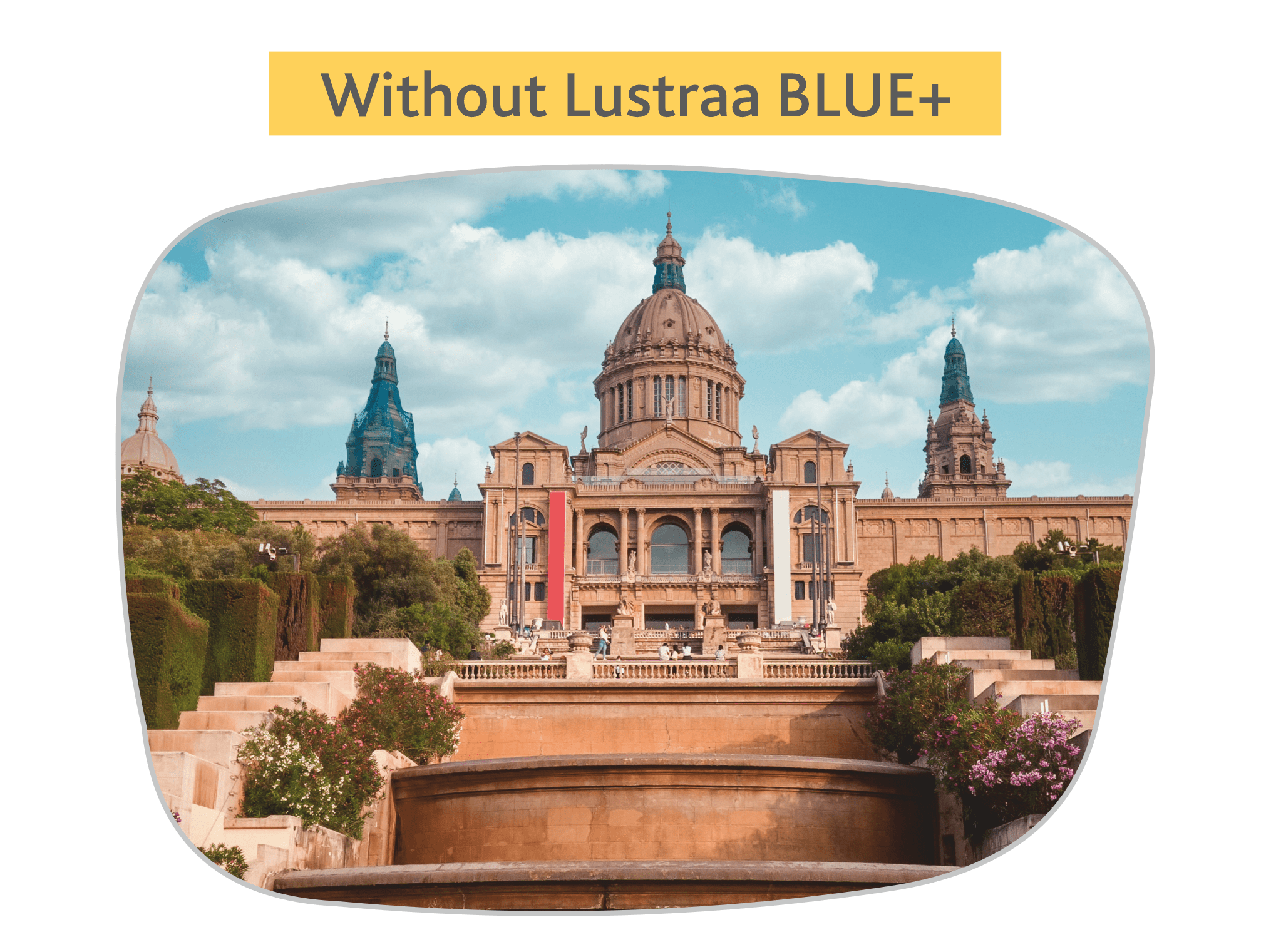 Anti Reflective Lenses