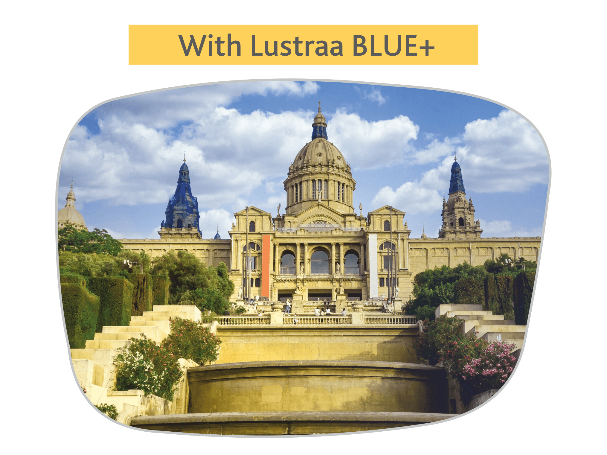 Anti Reflective Lenses